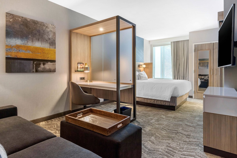 Suite, 1 King Bed (Hearing Accessible) photo 1