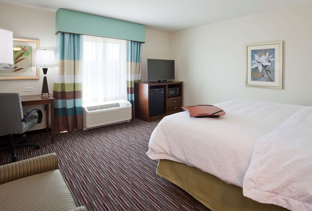 Room, 1 King Bed, Accessible, Non Smoking photo 2