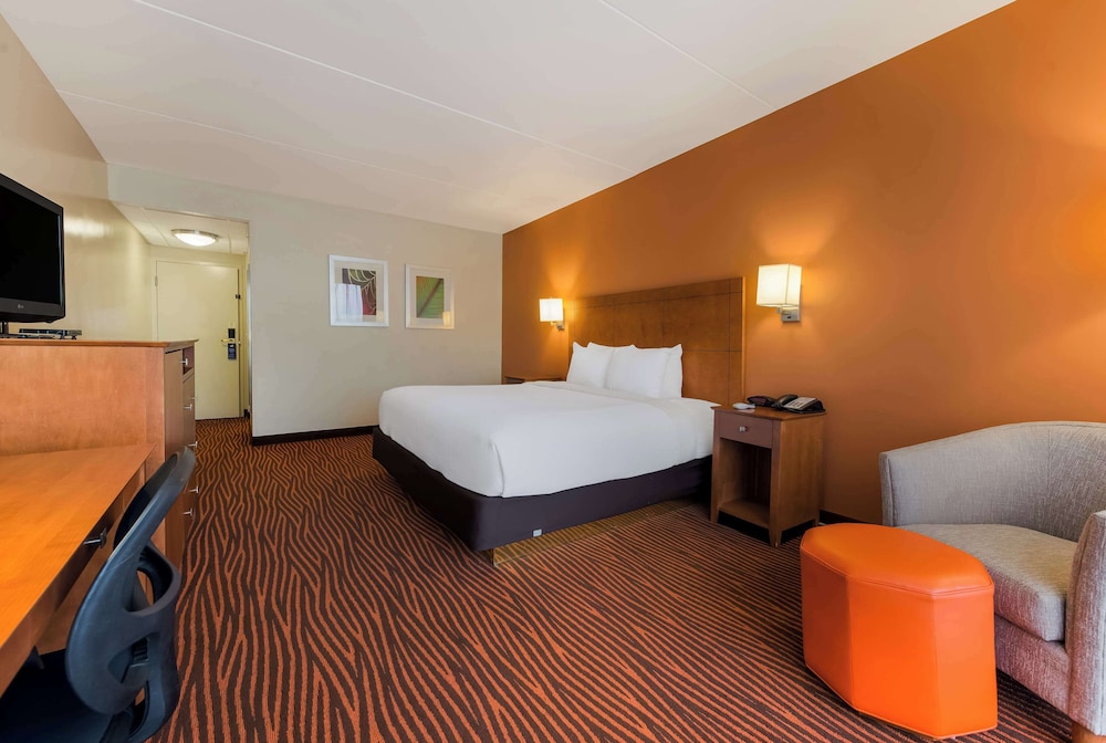 Suite, 1 King Bed, Non Smoking, Refrigerator & Microwave (with Sofabed) - Photo 4