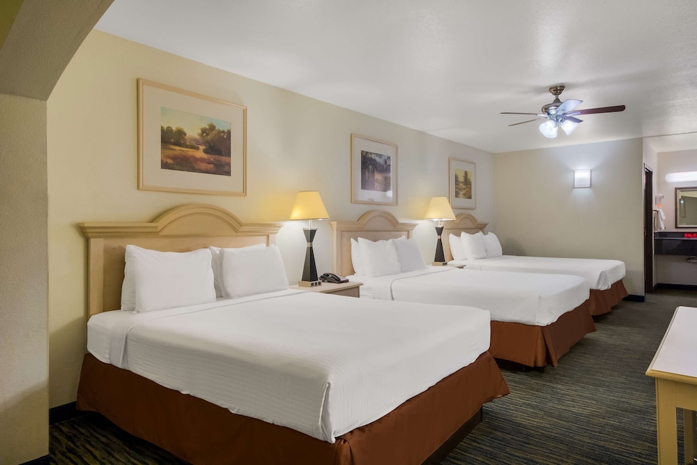 Standard Room, Multiple Beds, Non Smoking, Refrigerator & Microwave photo 2