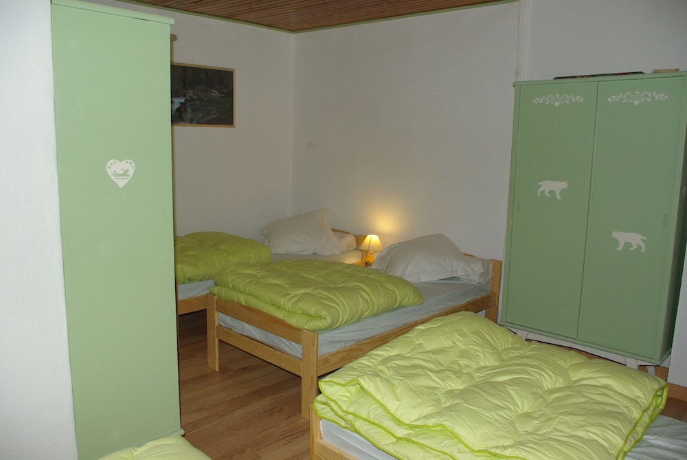 Quadruple Room (Lynx) photo 2