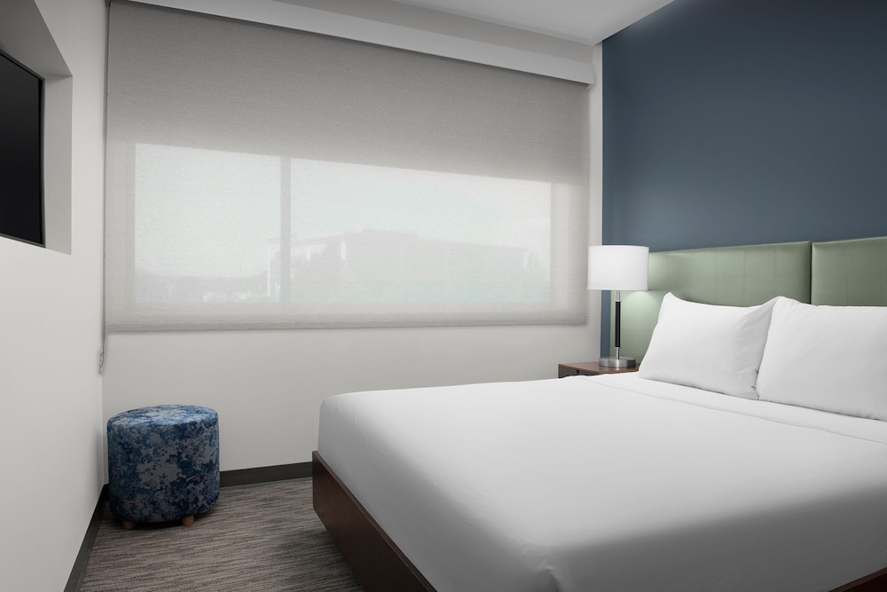 Suite, 1 Bedroom photo 1