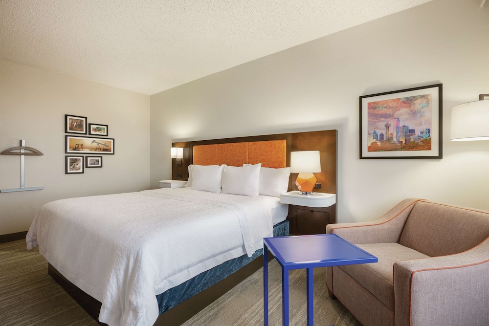 Room, 1 King Bed, Accessible, Bathtub (Mobility & Hearing) photo 3