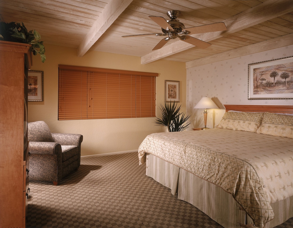 Suite, 1 Bedroom, Non Smoking, Kitchen - Photo 1