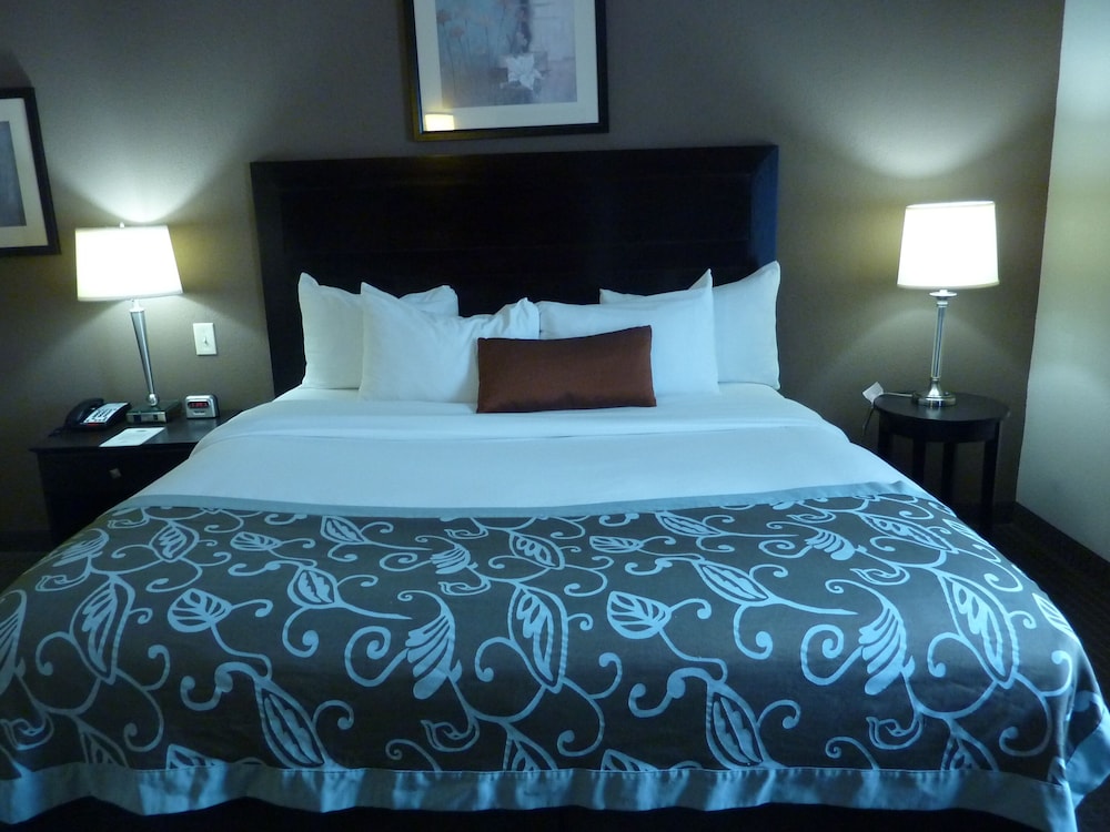 Deluxe Studio Suite, 1 King Bed with Sofa bed, Non Smoking - Photo 3