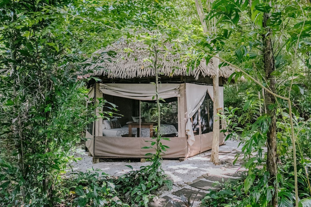 Garden Glamping photo 1