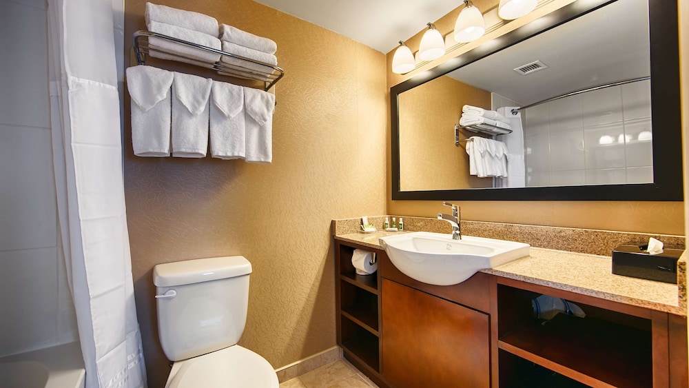 Standard Room, 1 King Bed, Non Smoking, Microwave - Photo 8