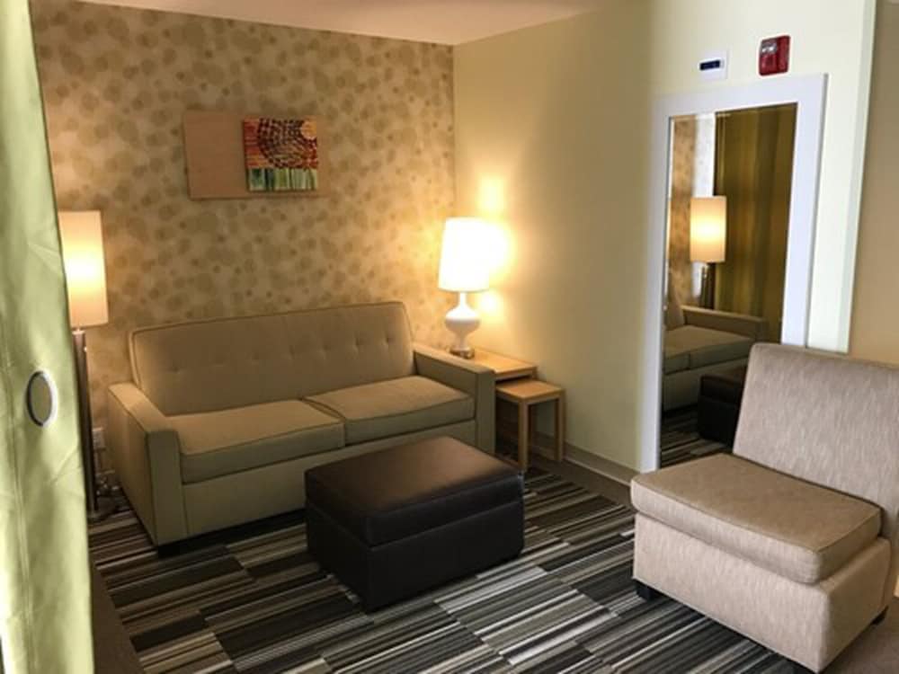 Suite, 1 King Bed, Accessible (Roll-in Shower) photo 2