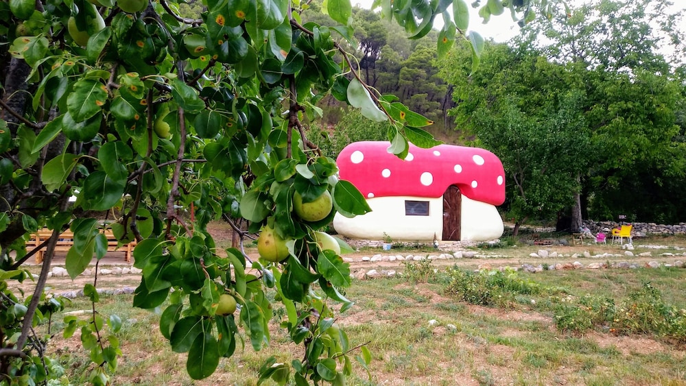 Cottage photo 1