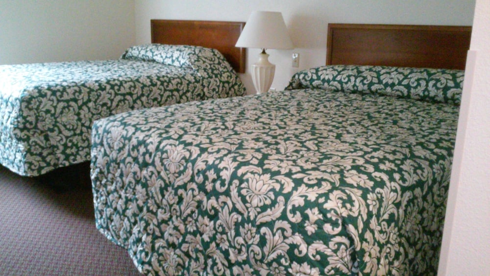 Studio, 2 Double Beds photo 1