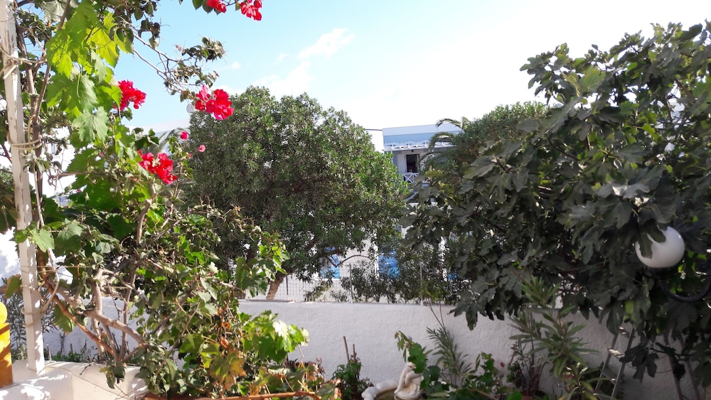 Double Room, Garden View, Ground Floor - Photo 2