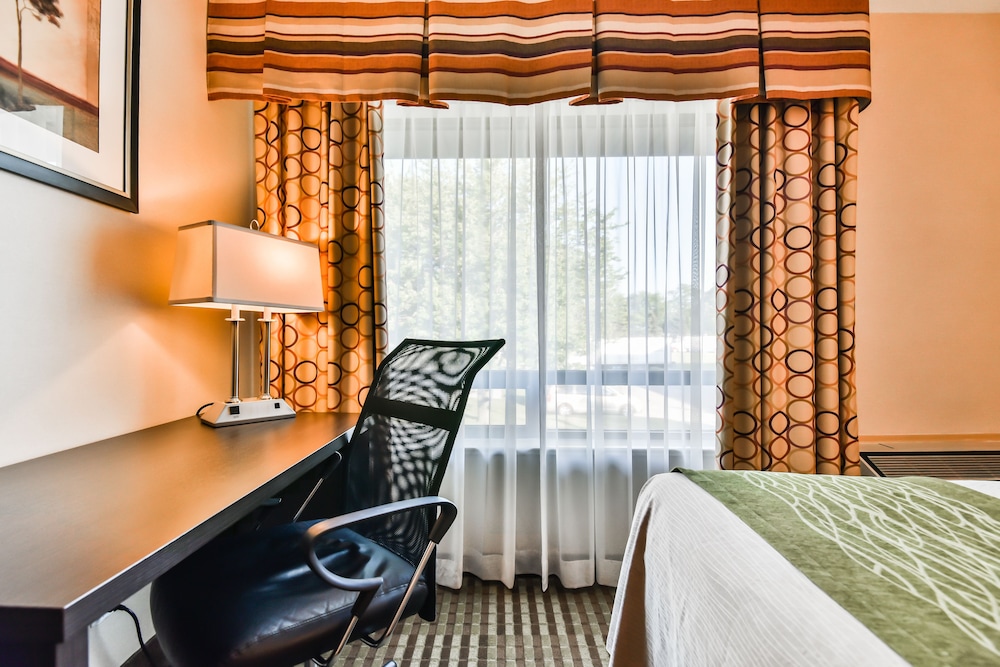 Comfort Care, Standard Room, 1 Queen Bed - Photo 4