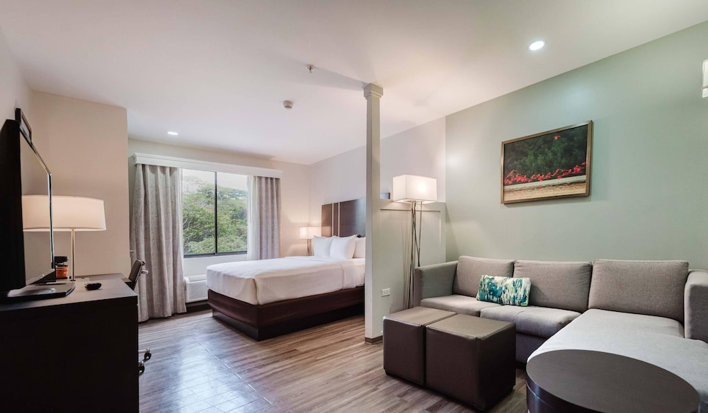 Suite, 1 King Bed with Sofa bed, Non Smoking - Photo 1