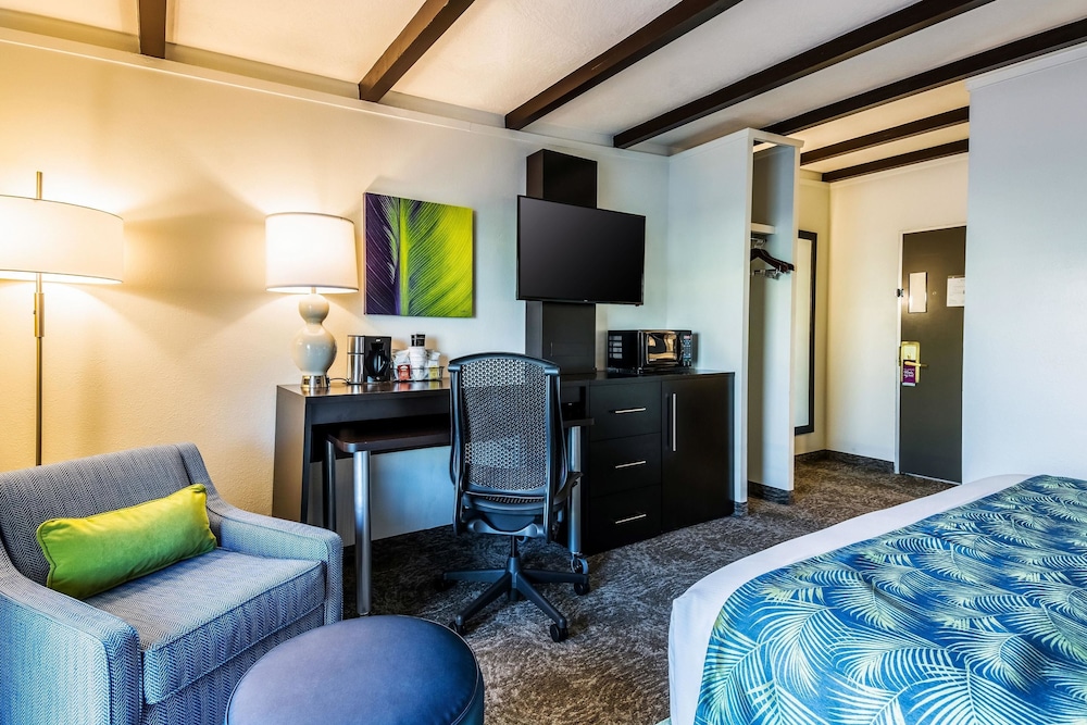 Room, 1 King Bed, Non Smoking