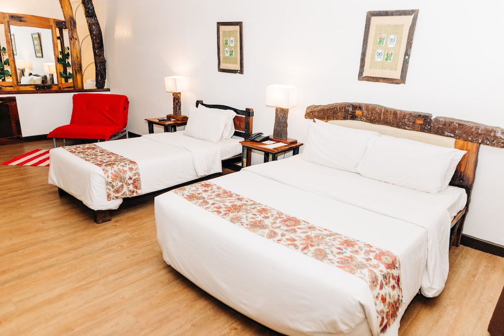 Deluxe Double Room photo 2