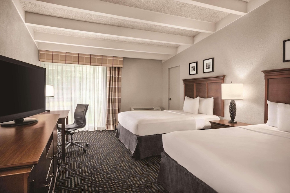 Suite, Multiple Beds, Non Smoking (Efficiency, Upgrade) - Photo 2
