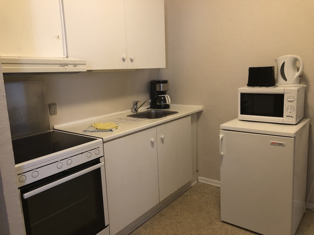 Apartment, 1 Bedroom, Kitchen photo 3