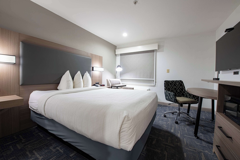 Standard Room, 1 Queen Bed, Accessible, Bathtub - Photo 1