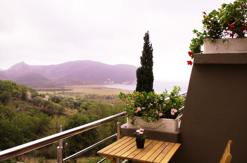 Double or Twin Room, Mountain View photo 3