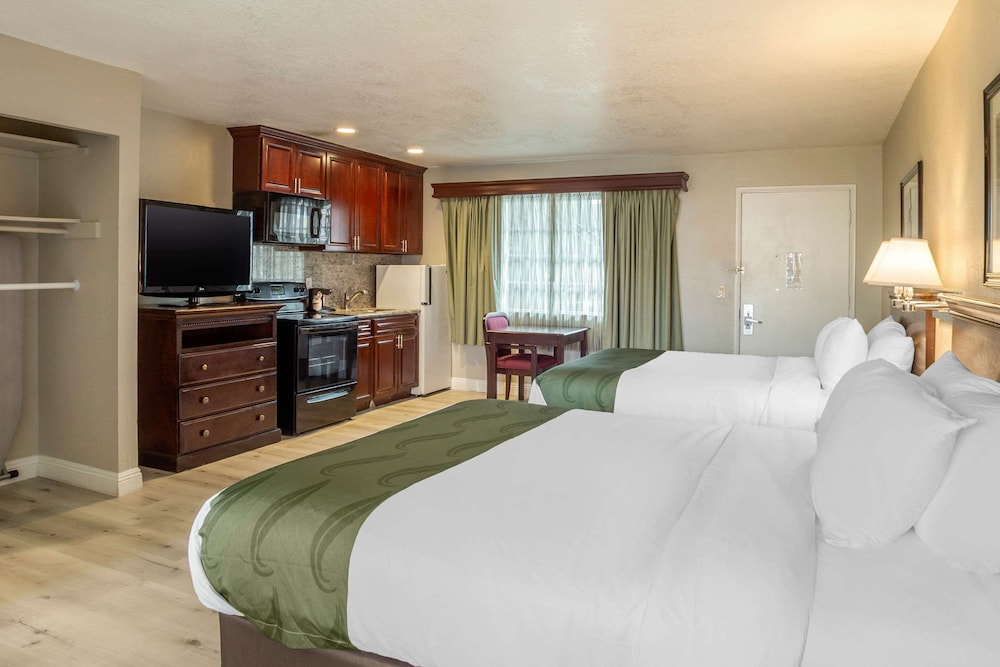 Suite, 2 Queen Beds, Non Smoking ( Efficiency) - Photo 8