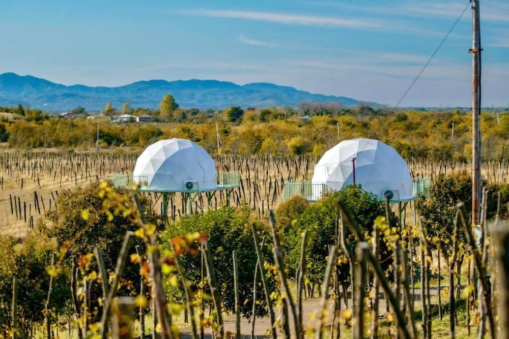 Signature Double Room, 1 Bedroom, Vineyard View photo 3