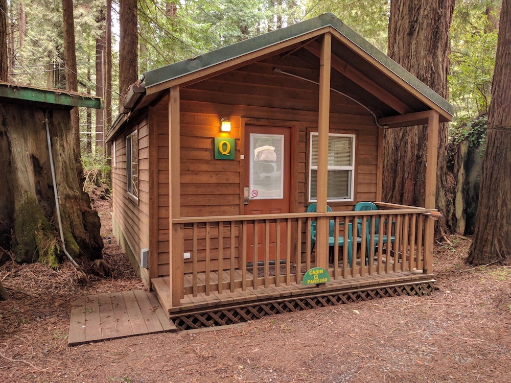 Family Cabin, Multiple Beds (pets allowed)