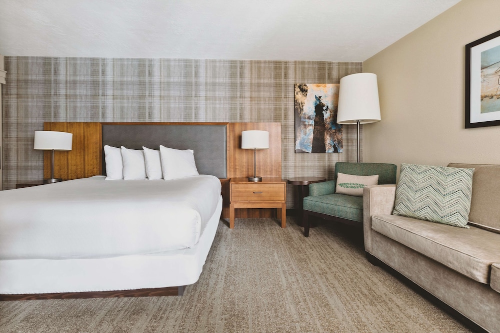 Suite, 1 King Bed, Non Smoking photo 3