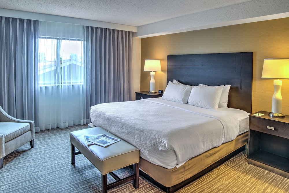 Suite, 1 King Bed with Sofa bed