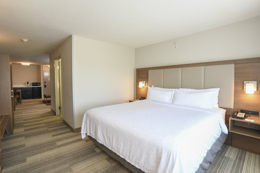 Suite, 1 King Bed, Accessible (Mobility Tran Shwr) - Photo 2
