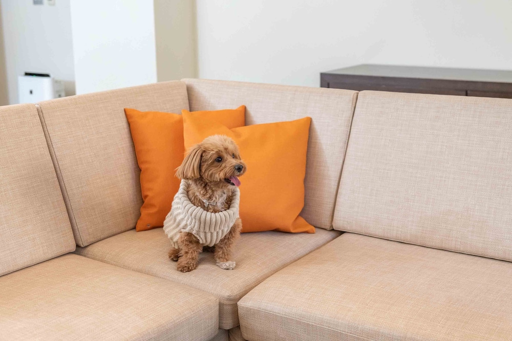 Deluxe Room, 2 Twin Beds (Dog Friendly) - Photo 6