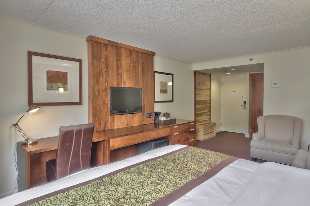 Room, 1 King Bed photo 1