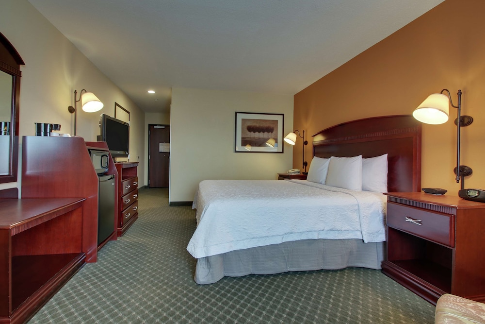 Room, 1 King Bed, Non Smoking, Bathtub photo 1