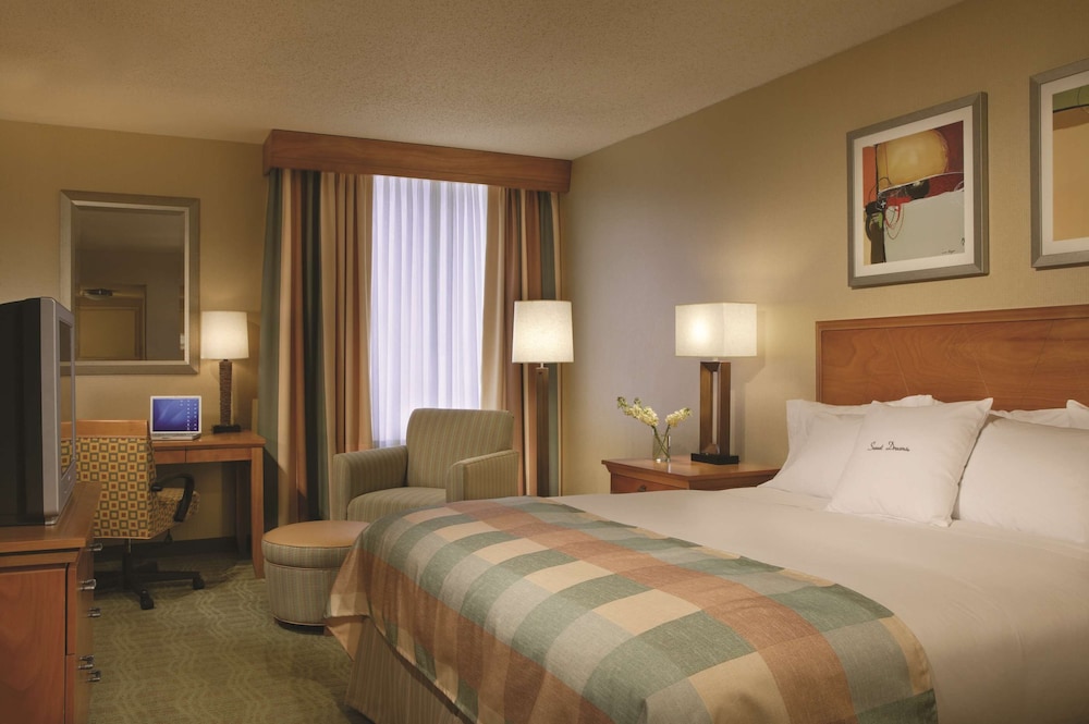 Room, 1 King Bed, Accessible, Non Smoking - Photo 11
