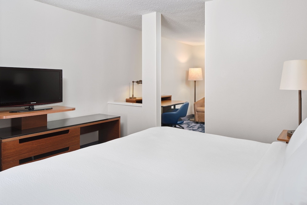Suite, 1 King Bed with Sofa bed photo 3