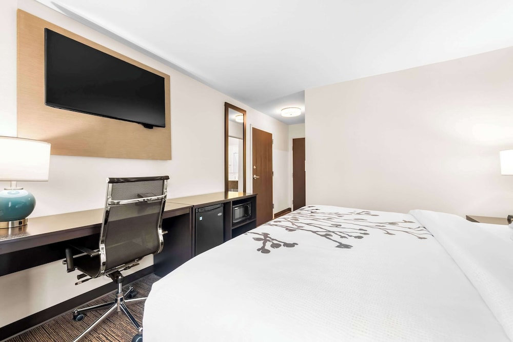 Room, 1 King Bed, Non Smoking - Photo 3