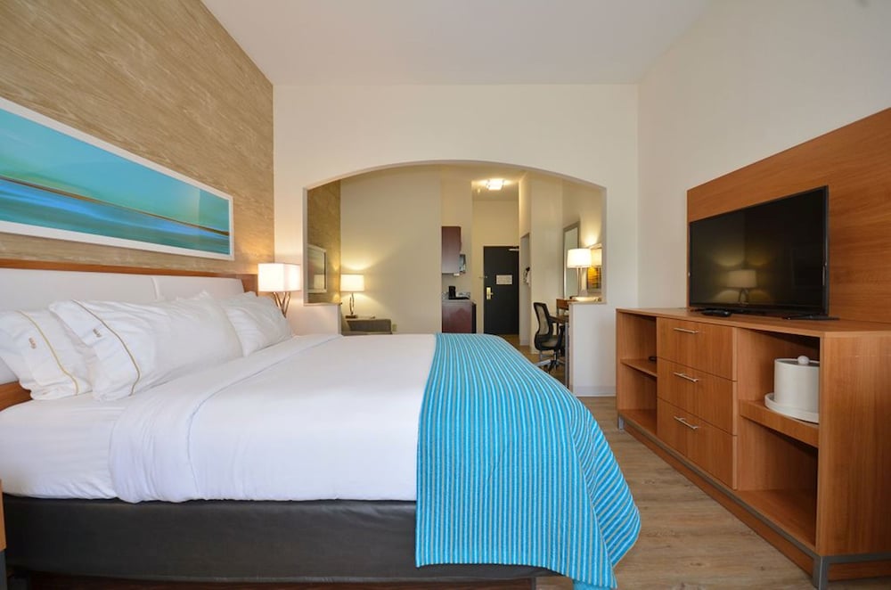 Suite, 1 King Bed (Extra Living Room) photo 2
