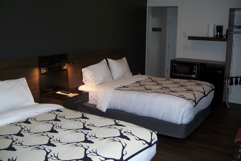 Deluxe Cabin, 2 Queen Beds (Sorry no pets) photo 3