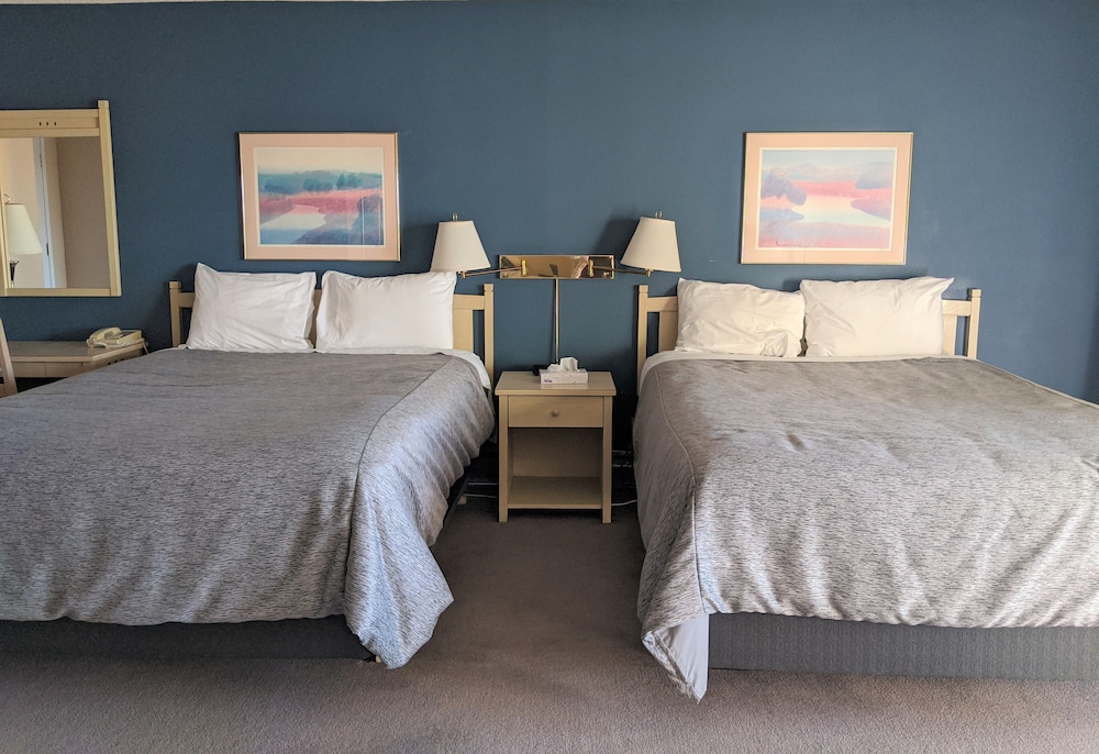 Deluxe Two Queen Room photo 1