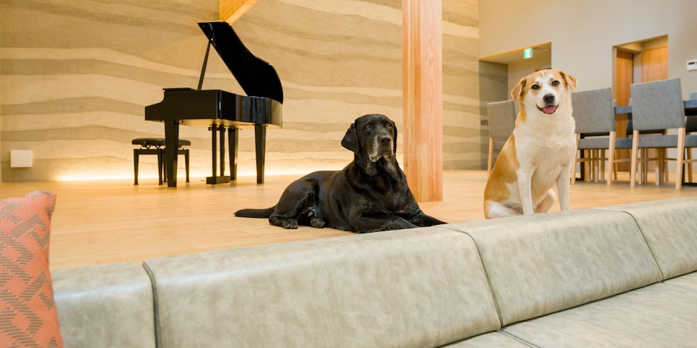 [No pets allowed] Suite A, Non Smoking - Photo 1