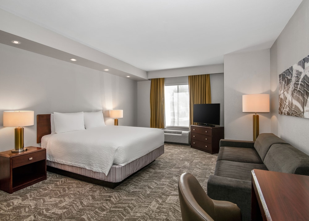 Suite, 1 King Bed with Sofa bed (Hearing Accessible) - Photo 2