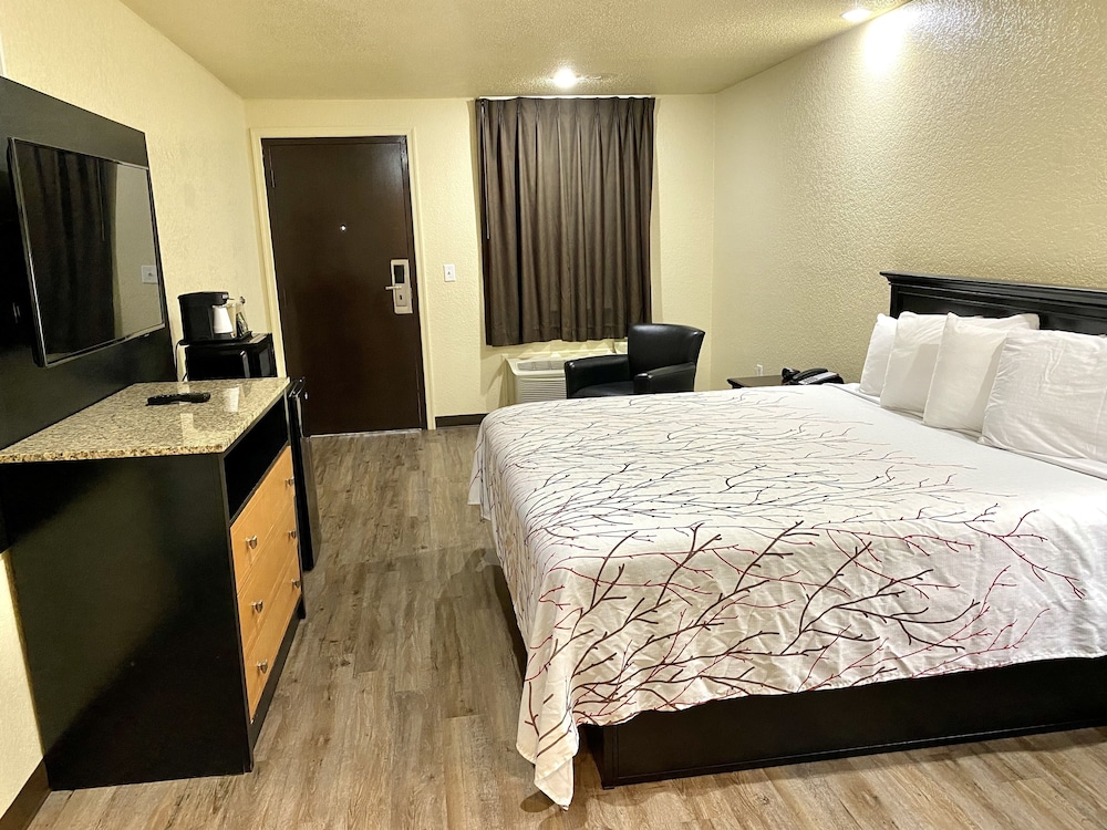 Standard Room, 1 King Bed, Smoking - Photo 3