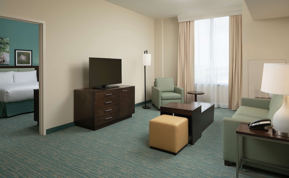 Suite, 1 King Bed - Photo 4