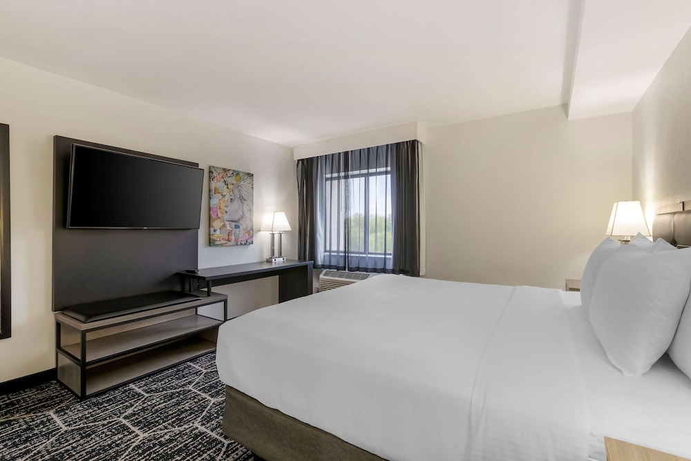 Deluxe Studio Suite, 1 King Bed, Non Smoking photo 1