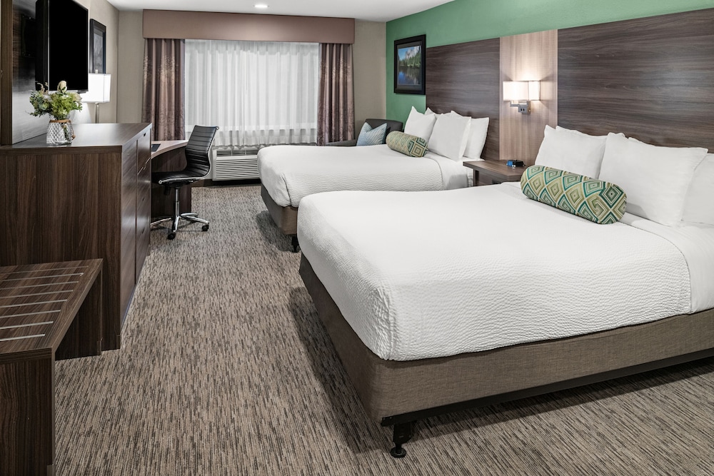 Single Room, 2 Queen Beds, Accessible photo 1