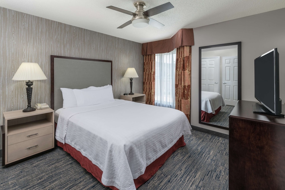 Suite, 1 Bedroom - Photo 1