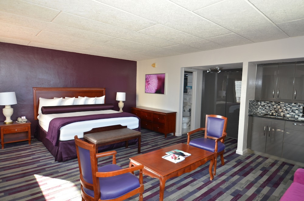 Suite, 1 King Bed - Photo 4