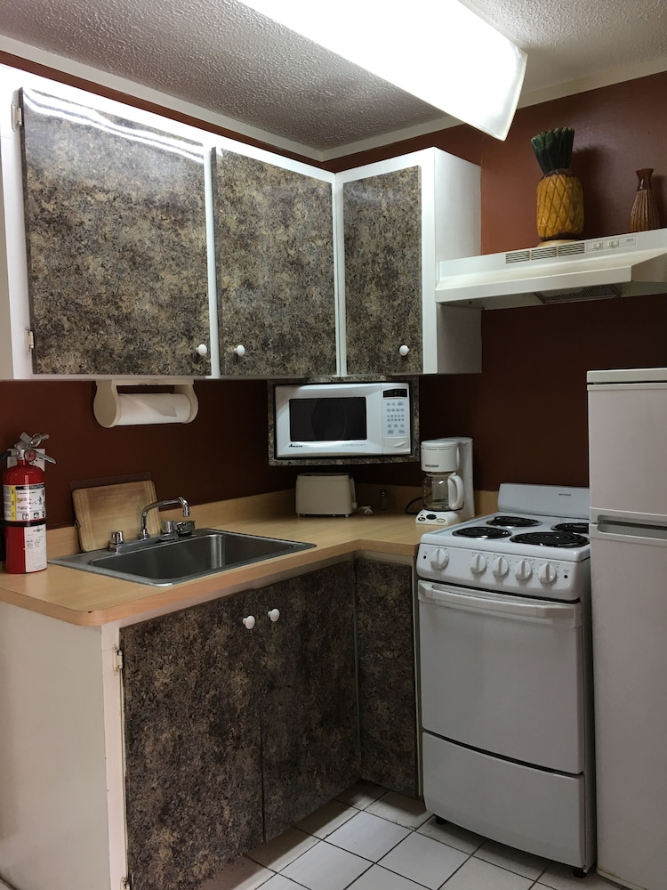 Basic Apartment photo 3