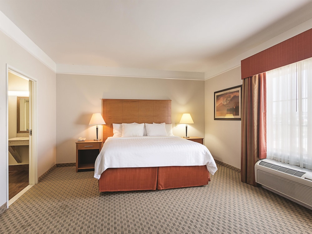 Suite, 1 King Bed, Accessible, Non Smoking (Tub with Grab Bars) - Photo 6