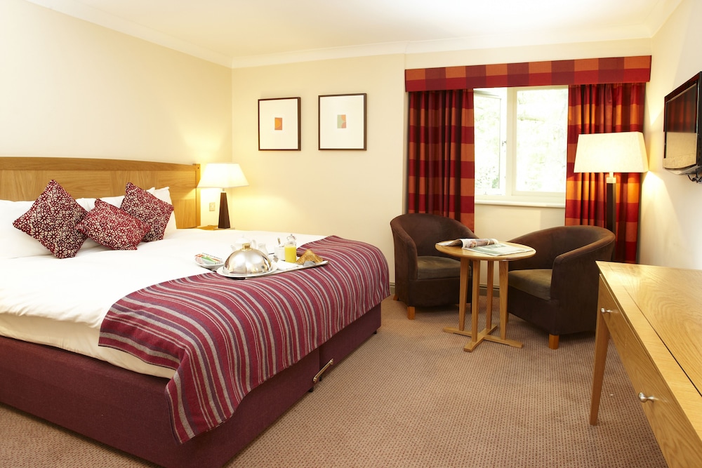 Executive Double or Twin Room, 1 King Bed photo 3