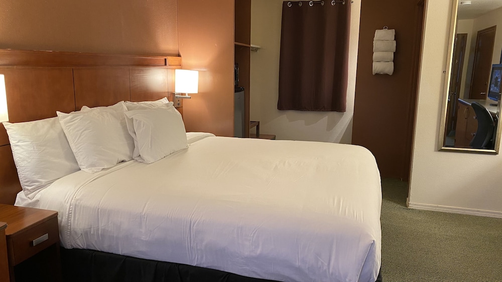 Signature Room, 1 King Bed, Non Smoking, Ground Floor photo 1